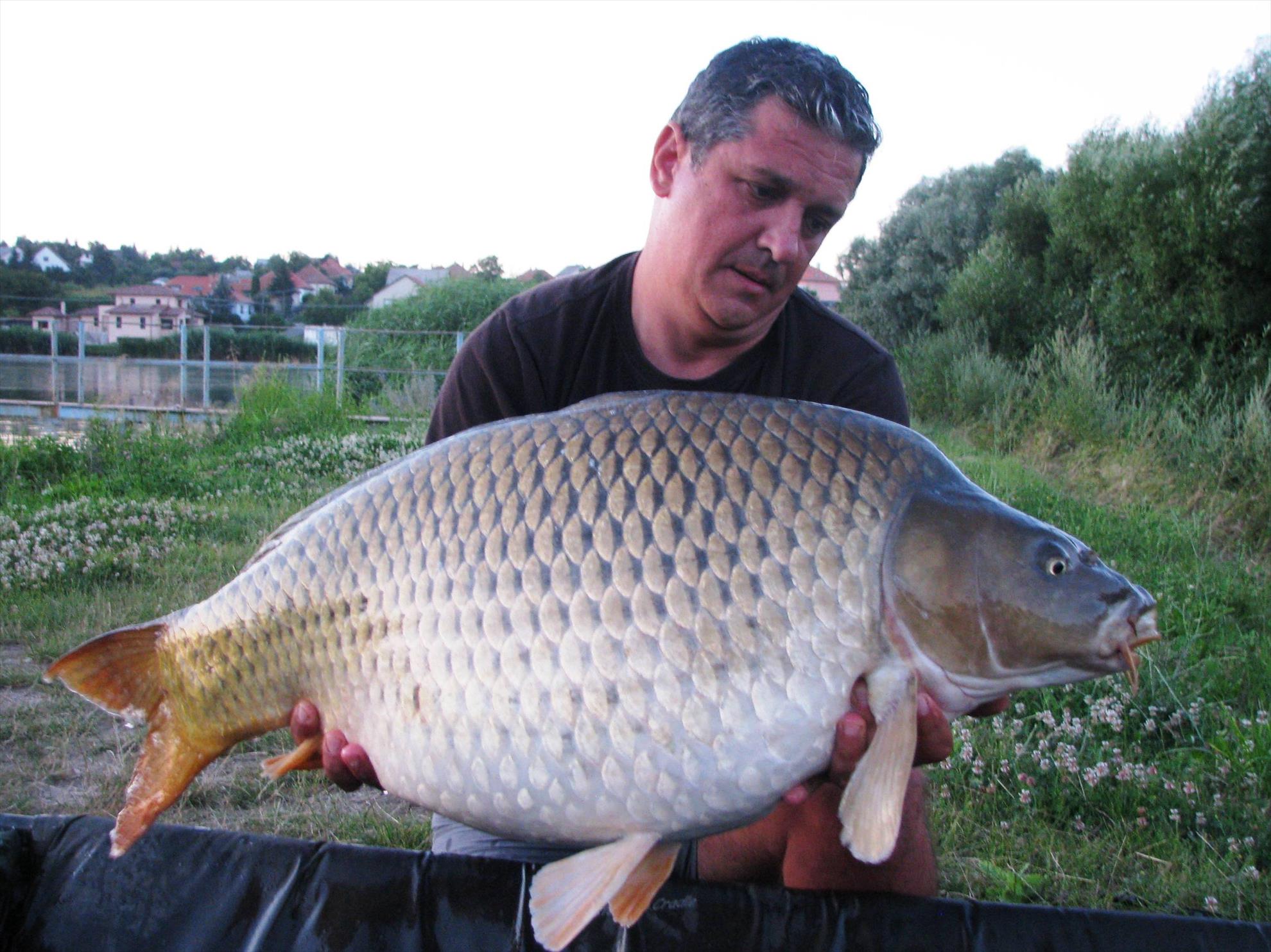 Harsany 21 - 27 iul. - img0166.JPG